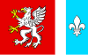 Flag of Dębica County