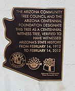 Historic Centennial Tree dedication