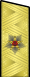 1955年－1990年苏联的海军元帅肩章