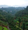 墓地遠景（藍色大棚處為安丙家族墓地）