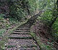 The surviving ancient route in Pujiang between Chengdu and Ya'an.