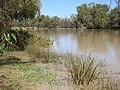 Moonie River in flood, in front of the Nindigully public hotel (2021).