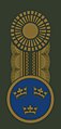 Clasp (agrafe) for a general of any rank[l] (c. 2002–2009)