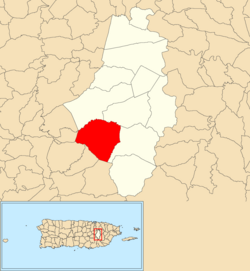 Location of Beatriz within the municipality of Caguas shown in red