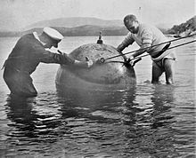 Two sailors stand next to a large round naval mine in shallow water.