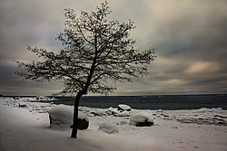 Hara Bay in Suurpea