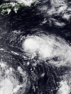 8月13日，位于日本南方的强热带风暴丽琵。