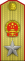 中華人民共和國元帥肩章