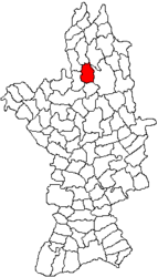 Location in Olt County