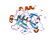 1ztj: Crystal Structure of the Catalytic Domain of Coagulation Factor XI in Complex with 2-(5-Benzylamino-2-methylsulfanyl-6-oxo-6H-pyrimidin-1-yl)-N-[4-guanidino-1-(thiazole-2-carbonyl)-butyl]-acetamide