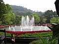 陽明山花鐘旁的公園