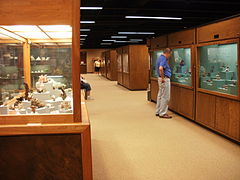 A. E. Seaman Mineral Museum