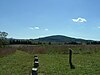 Cedar Mountain battlefield, facing south from the approximate southwestern corner of the wheat field