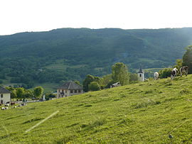 The church and town hall from the hillside in Moye