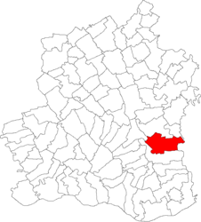 Location in Teleorman County