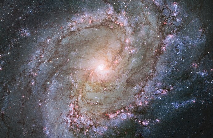 图为哈勃空间望远镜眼中的棒旋星系M83。
