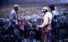 hunters and guide with moose trophy