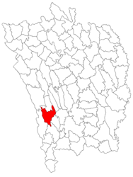 Location in Vaslui County