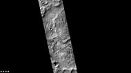 火星勘测轨道飞行器背景相机显示的乔利陨击坑内的蛇形丘，蛇形丘是图像中隆起的部分，它们是由冰川下流淌的溪流所形成
