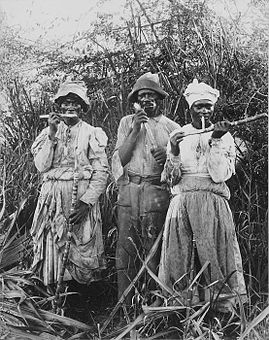 牙买加甘蔗工人
