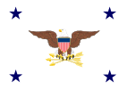 Flag of the Inspector General of the Department of Defense