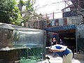 Inside the atrium of the Florida Aquarium in Tampa, Florida.