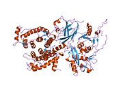1kfx：人m-钙蛋白酶I型的晶体结构