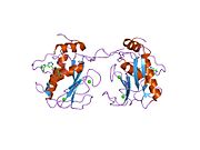 1xur: Matrix metalloproteinase-13 complexed with non-zinc binding inhibitor