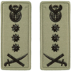 Lt General embossed badge