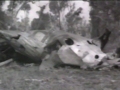 The 1950 Australian National Airways Douglas DC-4 crash claimed 29 lives.