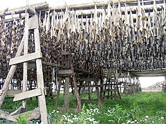 Stockfish up for drying in Iceland