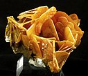 Cluster of translucent, butterscotch-colored wulfenite blades from the Glove Mine, Arizona, US