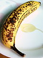 熟透的香蕉，黄色表皮上出现黑色的“梅花点”。