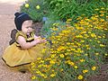 Baby in a costume