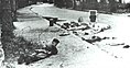 Image 9Belgian soldier taking cover by the corpses of dead hostages, November 1964 in Stanleyville during Operation Dragon Rouge (from History of Belgium)
