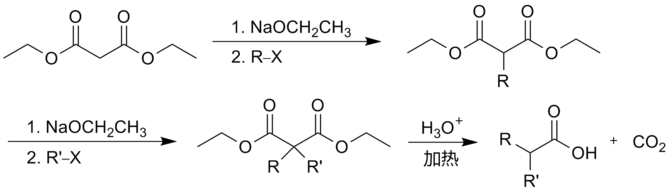 利用丙二酸酯合成 对底物双烷基化 例子