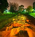 The Water of Leith by the University of Otago after 90 millimetres (3.5 in) of rain had fallen in a 24-hour period