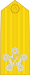 泰国海军元帅肩章