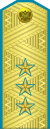 Colonel General