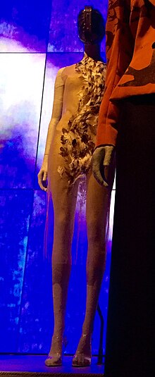 A sheer dress with a curved strip of feathers on the front, on a mannequin