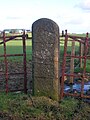 A double gatepost at Warwickdale Farm, Springside, North Ayrshire. 2007.