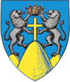 苏恰瓦县的徽章