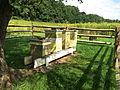 Bee hives on the property
