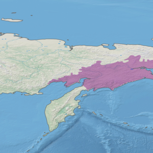 Ecoregion territory (in purple)