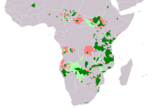 Distribution of the African bush elephant, showing a highlighted range (in green) with many fragmented patches scattered across the continent south of the Sahara Desert