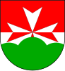 Coat of arms of Staňkovice