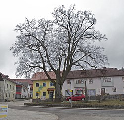 Village centre with the village linden tree ("Dorflinde")