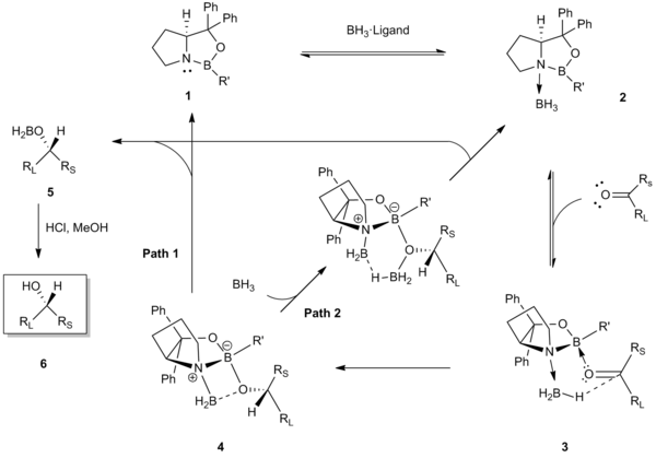 Mechanism of CBS reduction