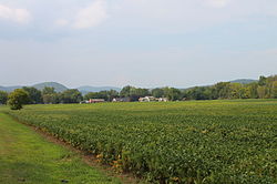 Field in Wolf Township