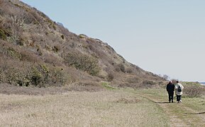 Jernhatten has a special steppe-like ecology.